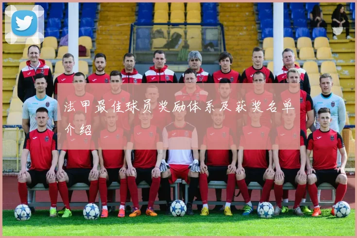 法甲最佳球员奖励体系及获奖名单介绍