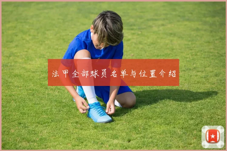 法甲全部球员名单与位置介绍